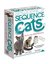 Sequence: Cats